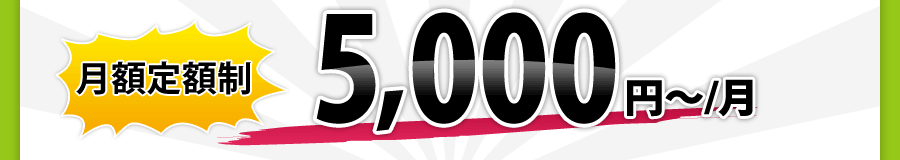 初期導入費用10,000円~、月々の費用5,000円~/月