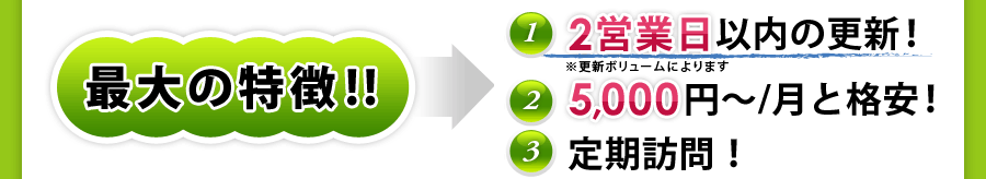 最大の特徴！1.2営業日以内の更新！2.5000円～/月と格安！3.電話サポート！